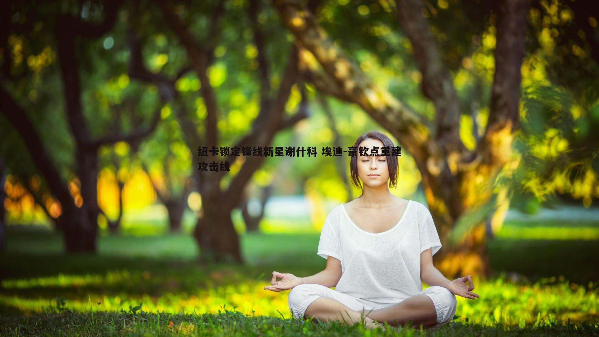 纽卡锁定锋线新星谢什科 埃迪-豪钦点重建攻击线