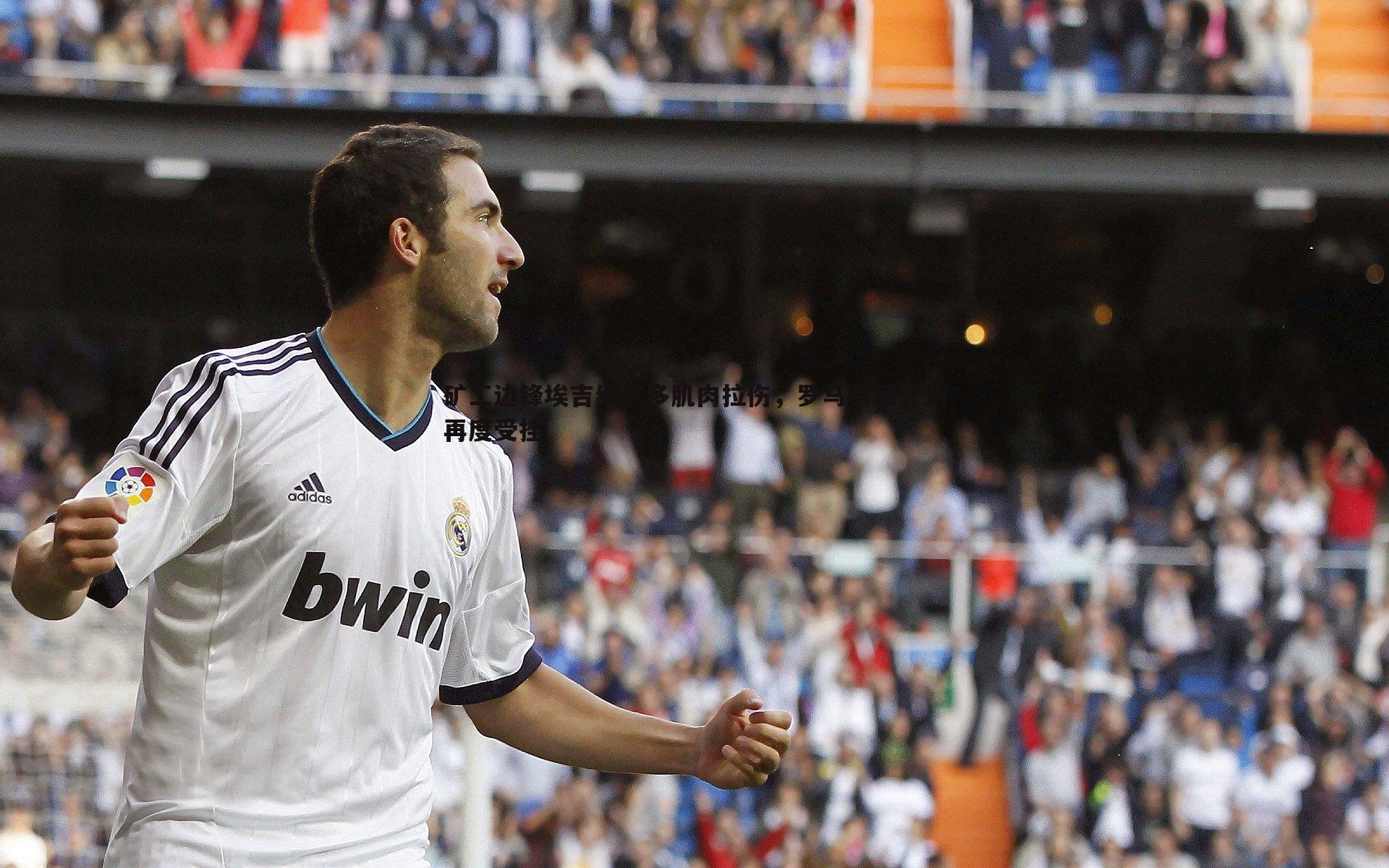 矿工边锋埃吉纳尔多肌肉拉伤,罗马引援计划再度受挫